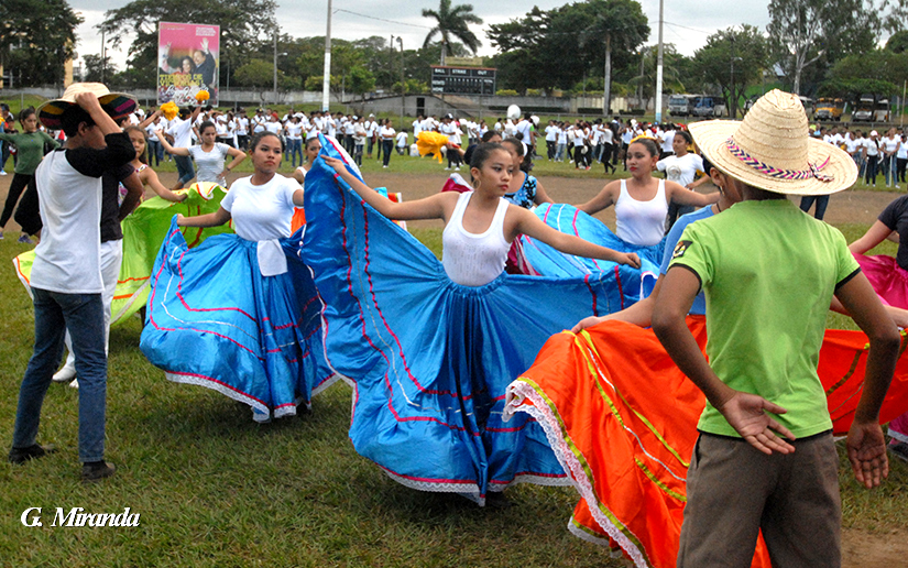 bandas